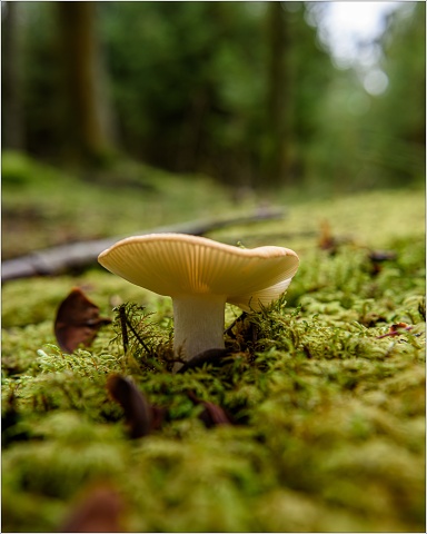 810 8444-053-20191022