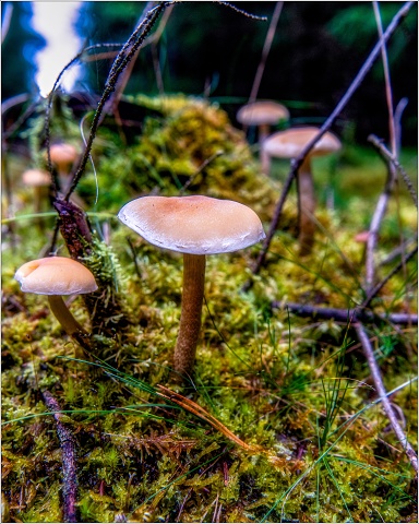 810 8629-Edit-Edit-054-20191023