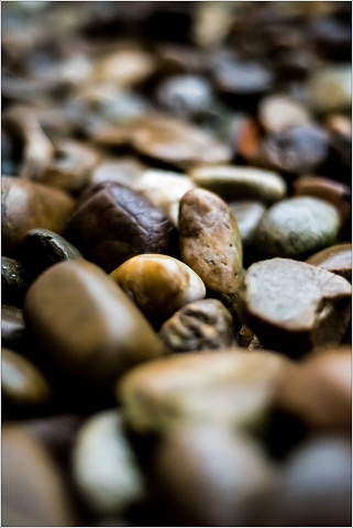 DSC 0039-008-20171220