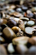 Nature, Garden, Stones
