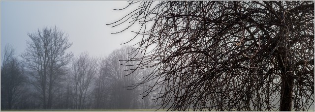 L1000225-Edit-031-20250319