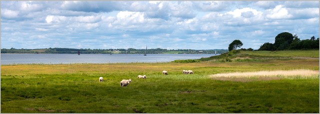 L1000553-001-20250607