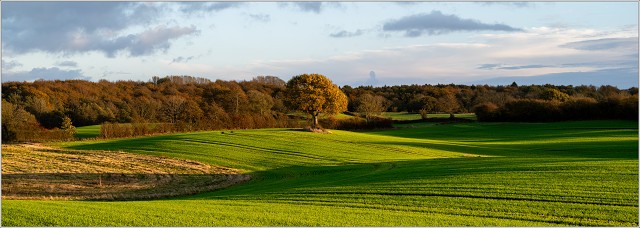 L1000746-001-20251026