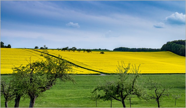  5063648-005-20170506