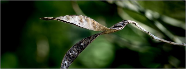  8100279-010-20210613