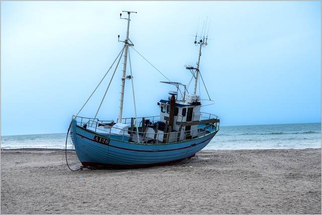  8100695-099-20210915