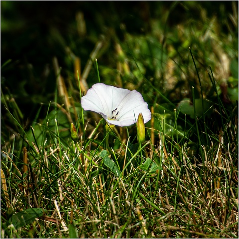  8101654-122-20220712