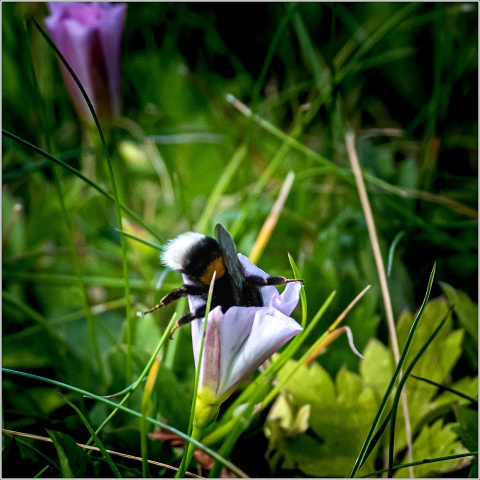  8101813-123-20220728