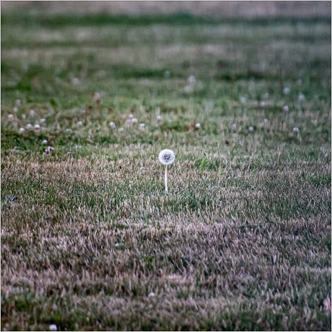  8101875-124-20220729