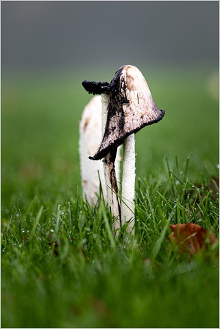  8102340-128-20221022