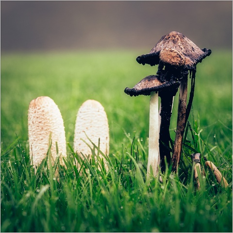  8102342-Edit-129-20221022