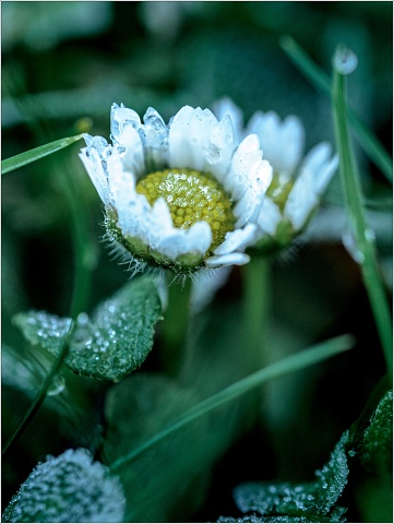  8102890-132-20230121