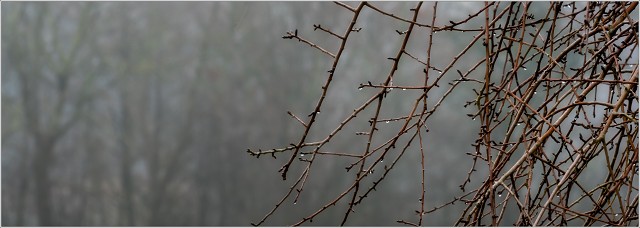  8103133-Edit-024-20230216