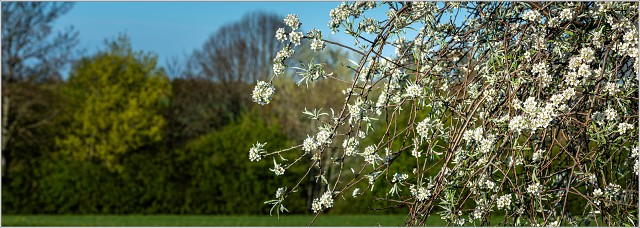  8103889-026-20230430