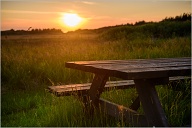 Out side a small cottage in Thy Nationalpark.