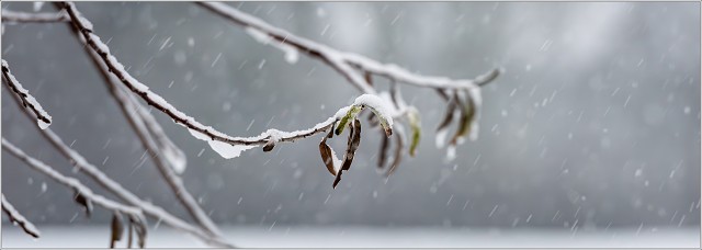  8105149-Enhanced-NR-001-20231206