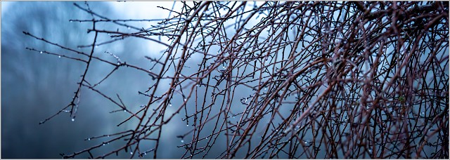  8105289-Enhanced-NR-148-20240126