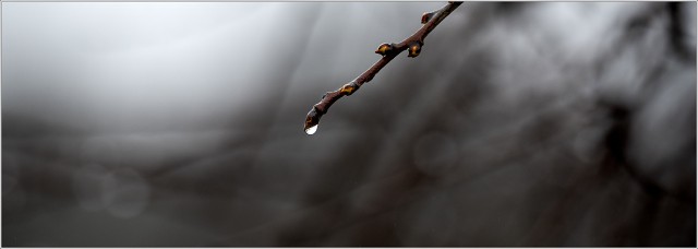  8105327-151-20240215