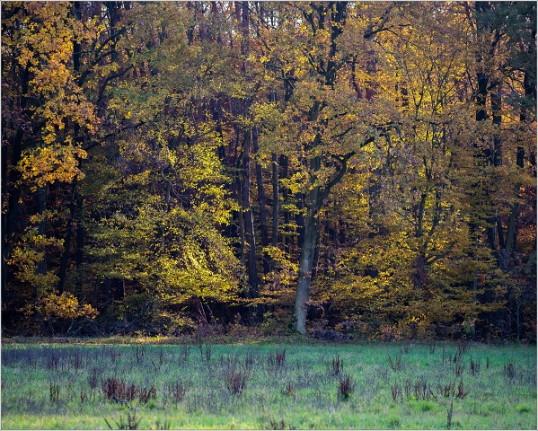  8108896-056-20191109