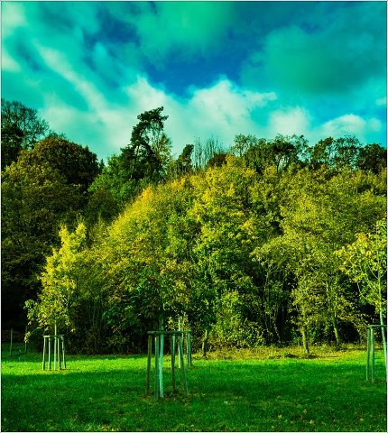  A304542-007-20171030