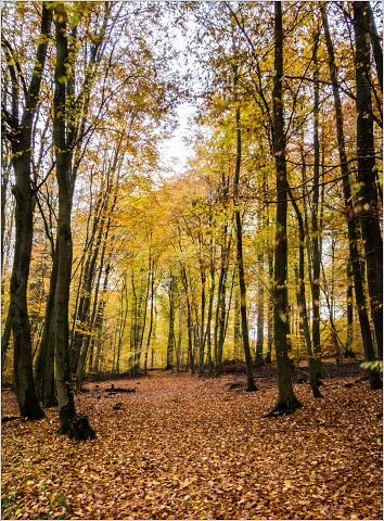  B063553-004-20161106