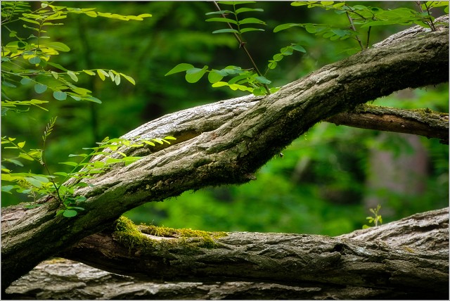  XT32515-Edit-064-20200610