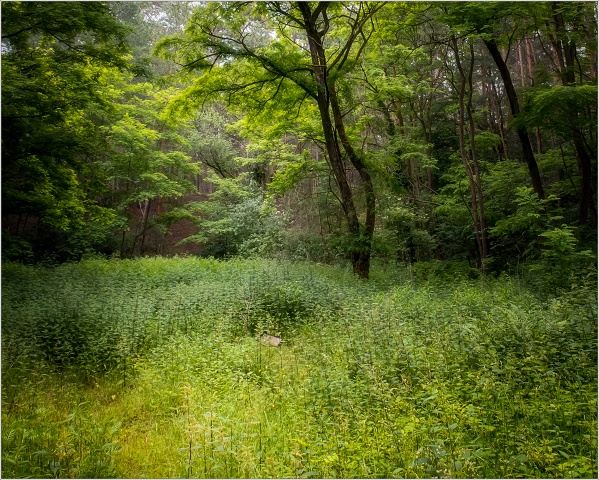  XT32610-Edit-065-20200611