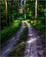 Just tracks through the forest. A quite nice walk.