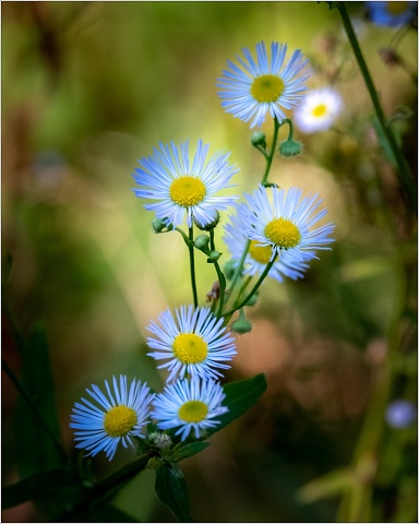  XT33691-067-20200730