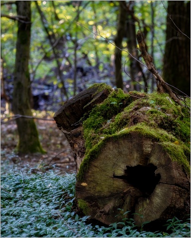  XT34047-Edit-069-20200806