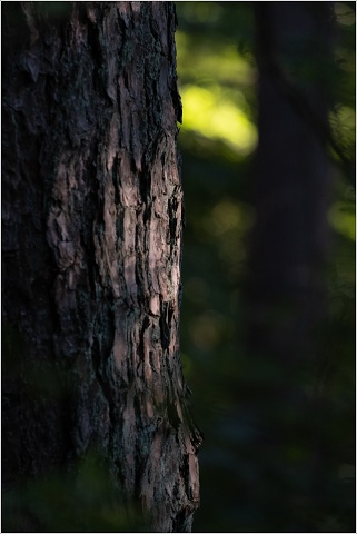  XT34051-070-20200806