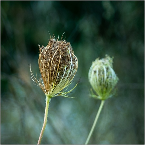  XT34531-073-20200907