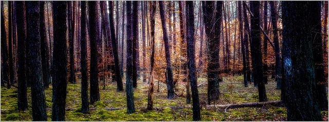  XT35140-Edit-Edit-006-20201108