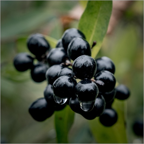  XT35185-080-20201206