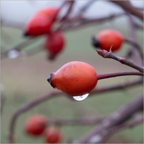  XT35197-081-20201206