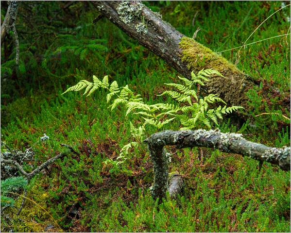  XT35487-090-20210912