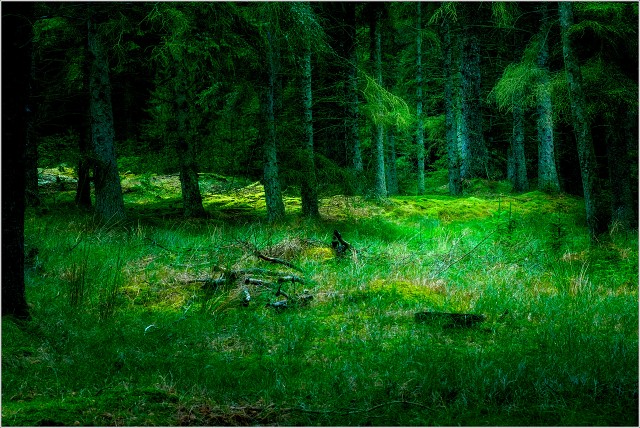  XT35539-Edit-091-20210912