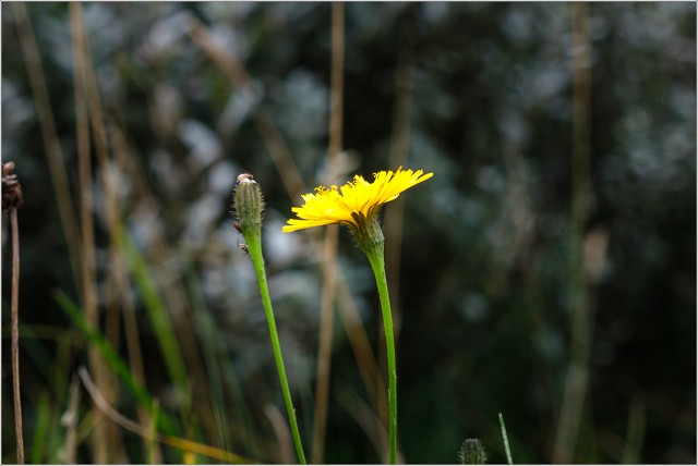  XT35549-002-20210912