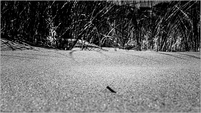  XT35829-098-20210914