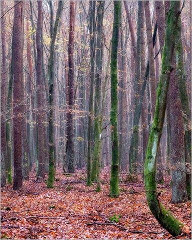  XT35960-Edit-105-20211114