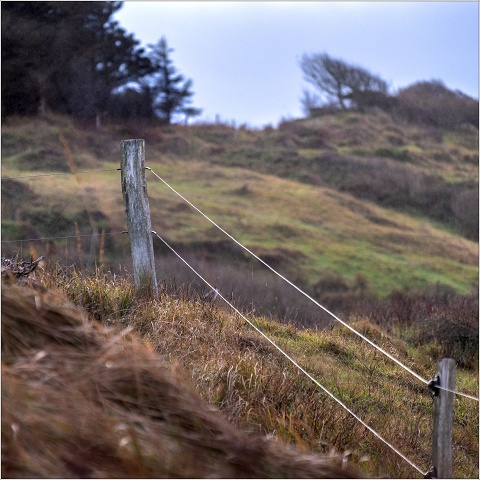  XT36147-110-20211124