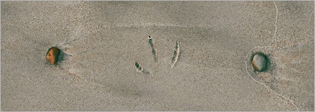  XT36303-006-20211126