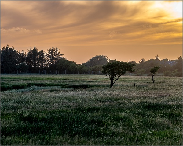  XT36500-HDR-007-20220611