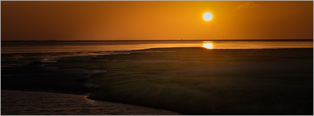  XT36534-021-20220611