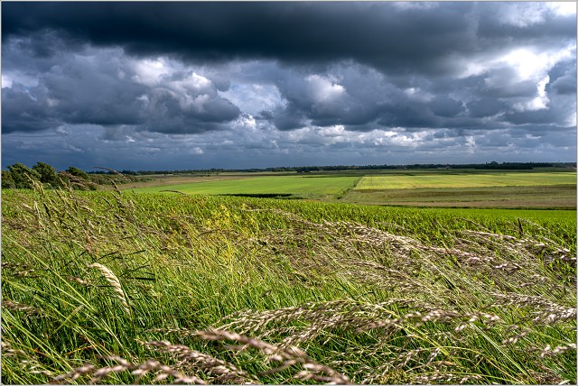  XT36884-Enhanced-NR-155-20240608