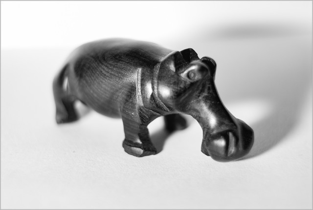 20061029- DSC3023-001-20061029