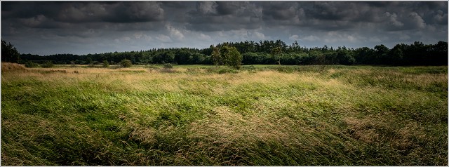  XT35336-001-20210809