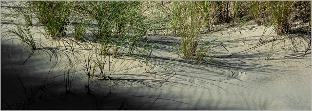  XT35818-011-20210914