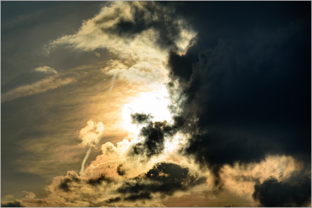 810 3077-003-20180525