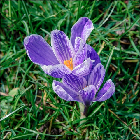 810 6466-004-20190322